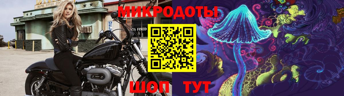 Галлюциногенные грибы Magic Shrooms  Галлюциногенные грибы Psilocybine cubensis  Азнакаево  как найти наркотики  Вход с VPN 